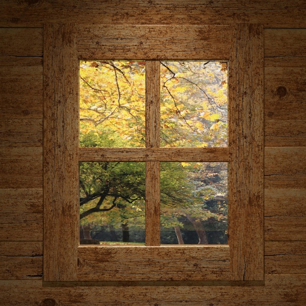 Holzfenster mit Blick auf Bäume im Herbst