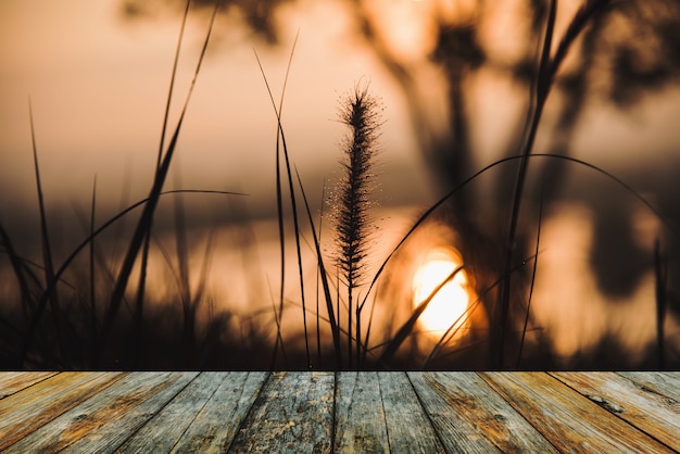 Holzfußbodenansicht des Sonnenaufgangs vom grasartigen