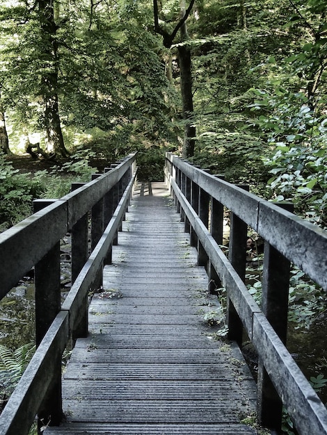 Foto holzfußgängerbrücke im wald