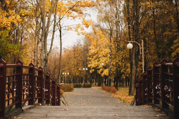 Holzgasse in einem Park mit bunten Bäumen