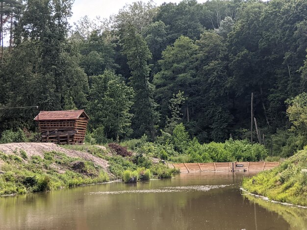 Holzhaus am Flussufer im Wald