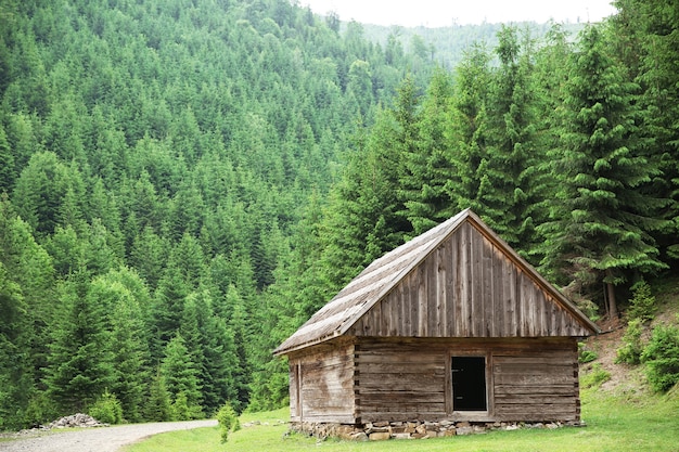 Holzhaus im Bergwald