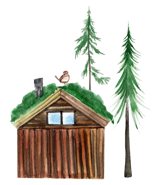 Holzhaus im Wald mit Moos auf dem Dach und Kiefern-Aquarellelement