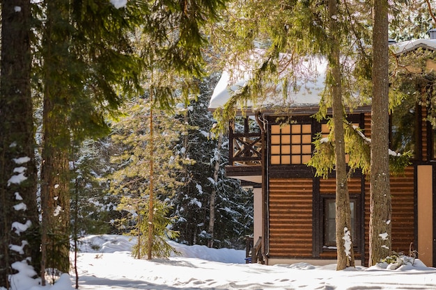 Holzhaus in der Nähe des Kiefernwaldes mit Schnee bedeckt. Verschneite Landschaft. Winterbilder. ein Haus mieten