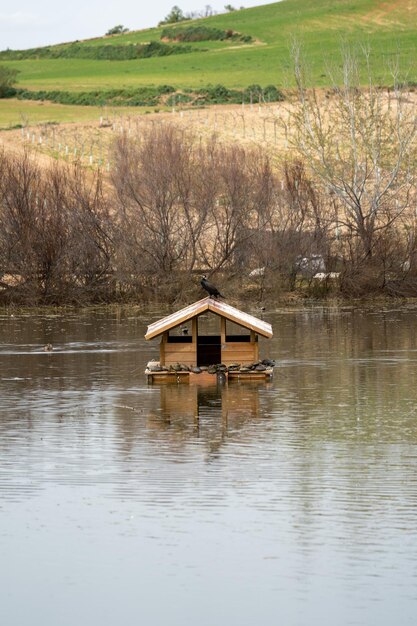 Holzhaus in einem See, auf dem Schildkröten und Vögel lehnen