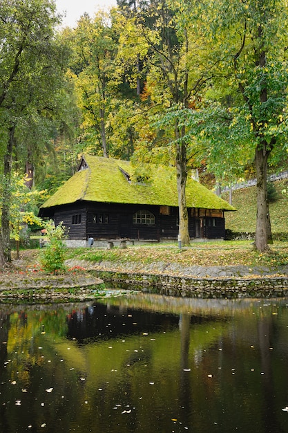 Holzhaus mit Moos auf Dach