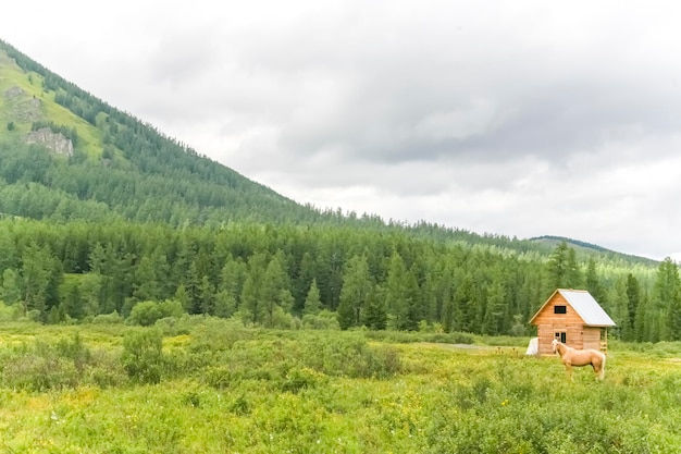 Holzhaus neben Wald und Felsen