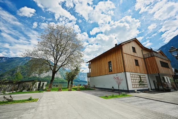 Holzhaus und Baum in Hallstatt Österreich