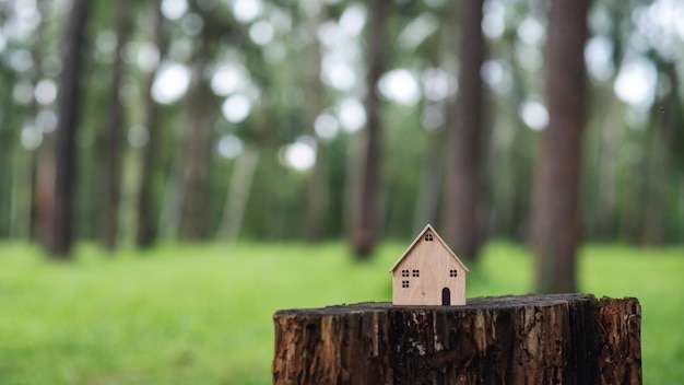 Holzhausmodelle auf Baumstumpf im Freien