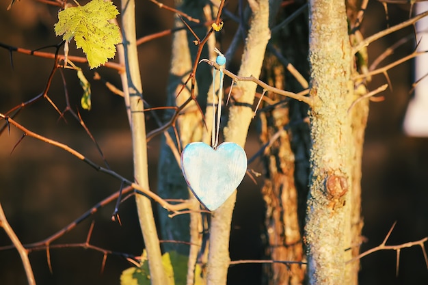 Holzherzdekoration im Garten auf Herbstnaturhintergrund