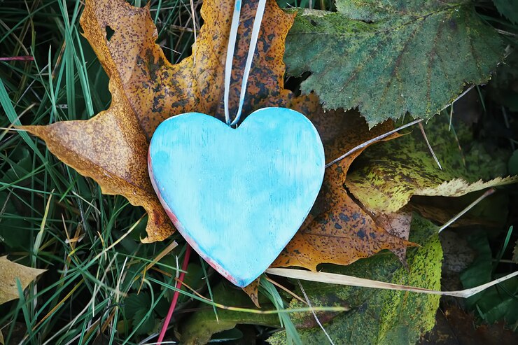 Foto holzherzdekoration im garten auf herbstnaturhintergrund