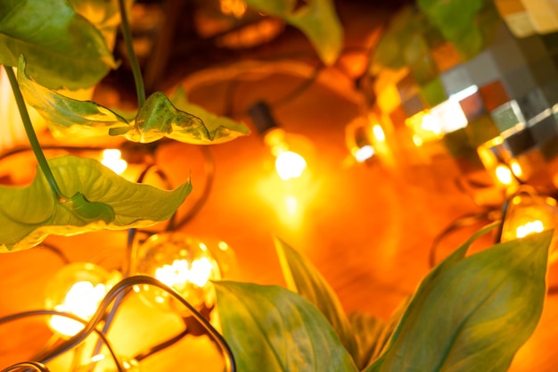 Holzhintergrund mit Girlandenlampen und grünen Blättern einer heimischen Topfpflanze und einer leuchtenden Kugel. Rahmen mit einer Weihnachtspflanze