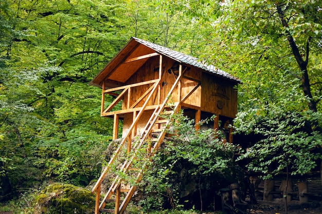 Holzhütte im Wald im Frühherbst