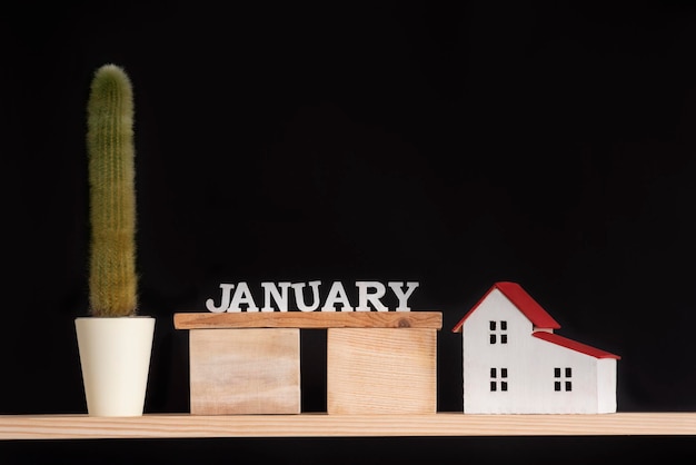 Holzkalender Januar Kaktus und Hausmodell auf schwarzem Hintergrund Kopierbereich