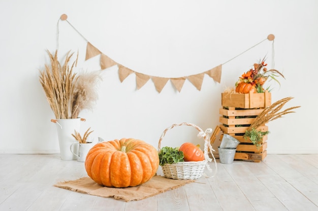 Foto holzkisten mit der herbsternte stehen übereinander auf weißem hintergrund. herbstdeko mit kürbissen und trockenen ährchen