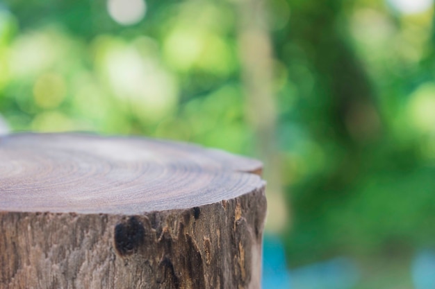 Foto holzkoffer im freien