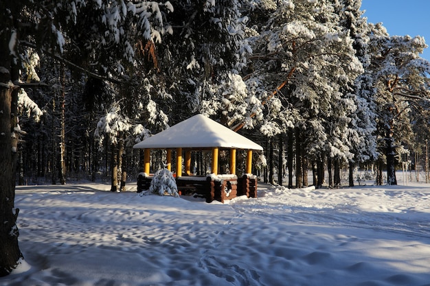 Holzpavillon im Wald im sonnigen Wintertag