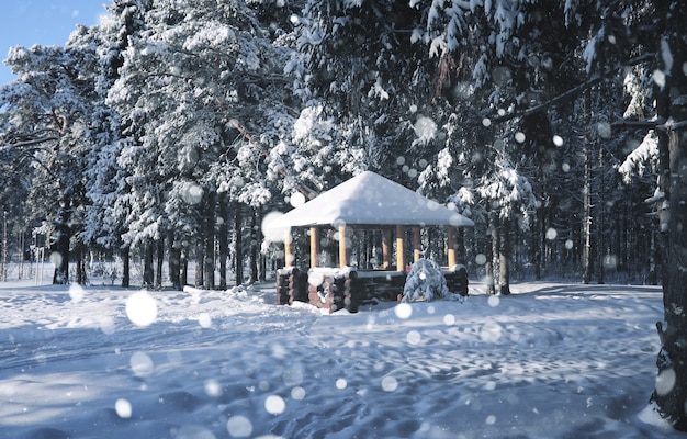 Holzpavillon im Wald im Winter Schneesturm