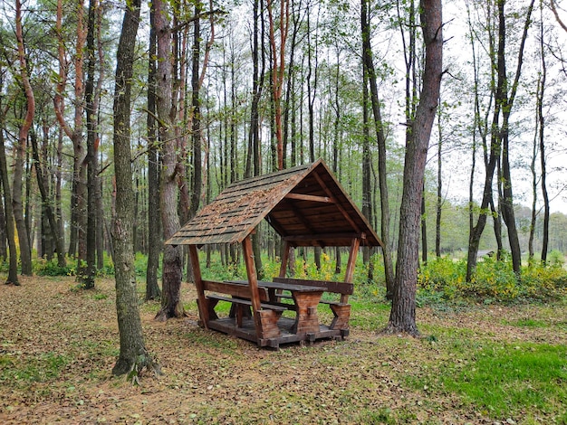 Foto holzpavillon-picknick im kiefernwald