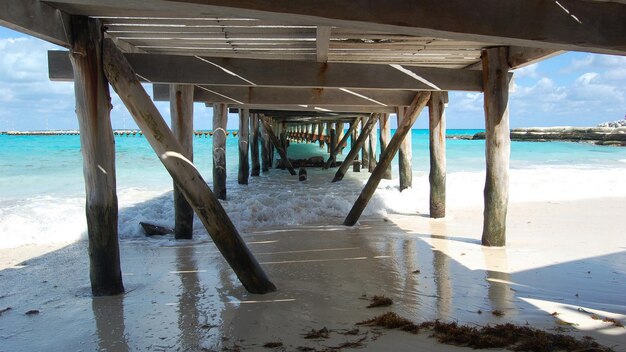 Holzpfähle für Docks