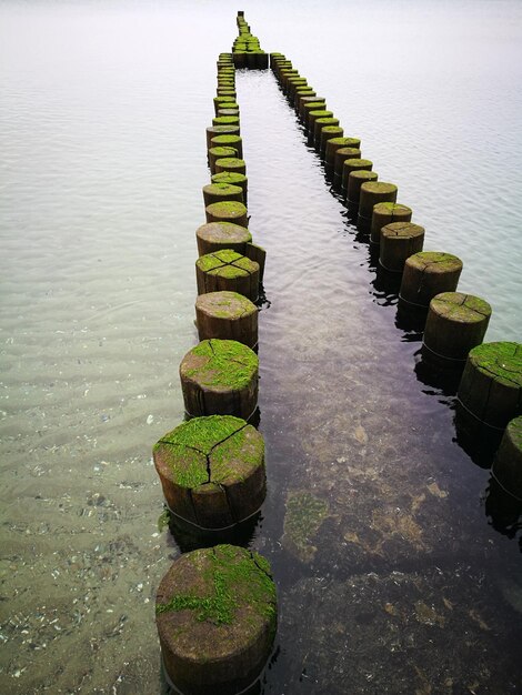 Foto holzpfahl im see