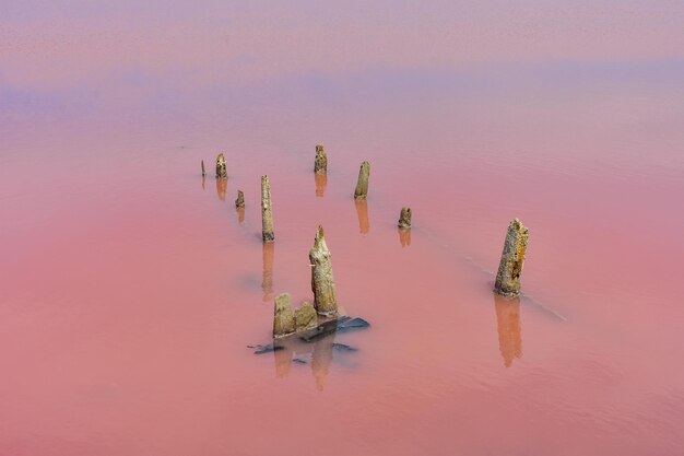 Holzpfeiler im Salzsee Holzreste im rosafarbenen See