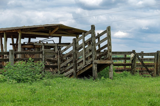 Holzpferch für den Umgang mit Nutztieren auf dem Bauernhof