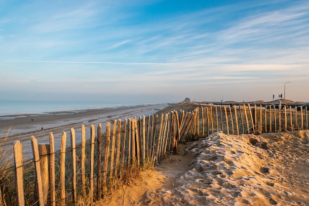 Foto holzpfosten am strand gegen den himmel