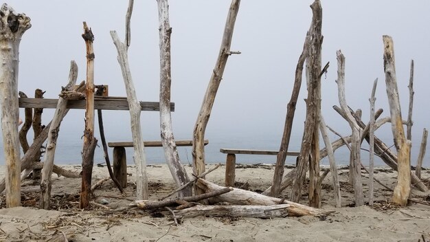 Foto holzpfosten am strand gegen den himmel