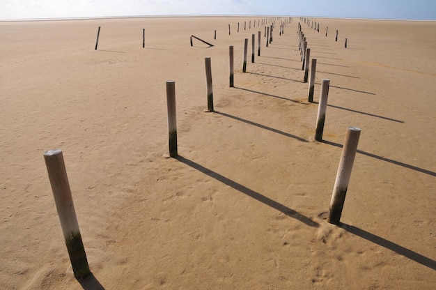 Holzpfosten am Strand