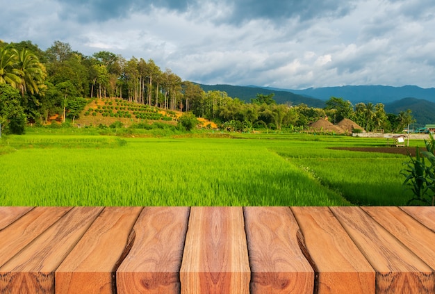 Holzplanken und schöne Naturlandschaft mit grünen Reisfeldern in der Regenzeit.