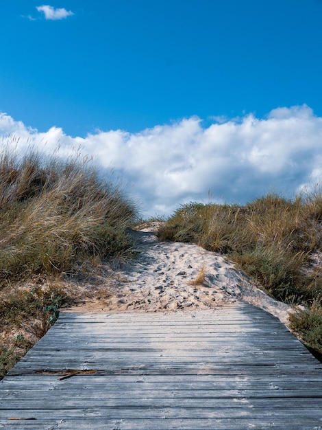 Foto holzplattform zum zugang zum strand