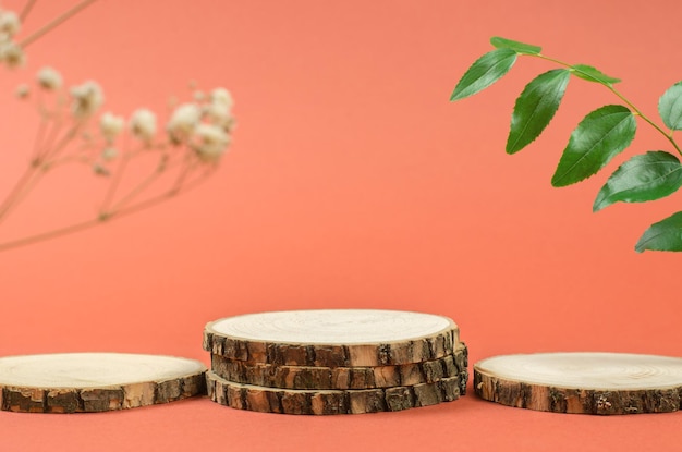 Holzpodeste zur Präsentation von Naturkosmetik, eingerahmt von grünen Blättern. Rahmen aus Naturholz