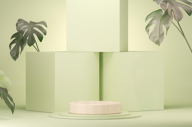 Holzpodium mit pastellgrünem Hintergrund Natursonnenschatten auf geometrischen Formen 3D-Rendering