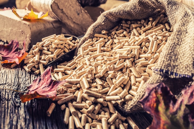 Holzpresspellets und -briketts aus Biomasse mit Herbstlaub.