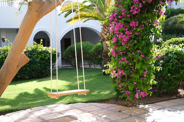 Holzschaukel im grünen Garten umgeben von Blumen und Palmen hochwertiges Foto