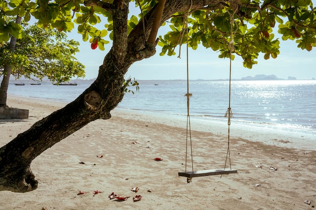 Holzschaukel unter dem Baum Schaukel am Strand unter den Bäumen und der ruhige Strand von Thailand