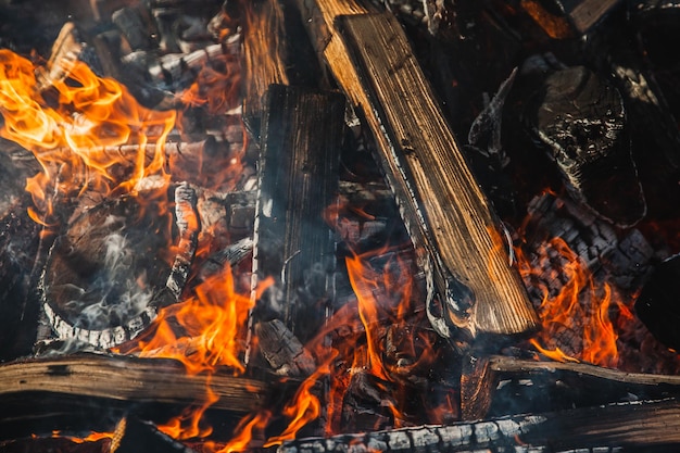 Holzscheite brennen in einem Feuer, Nahaufnahmefoto