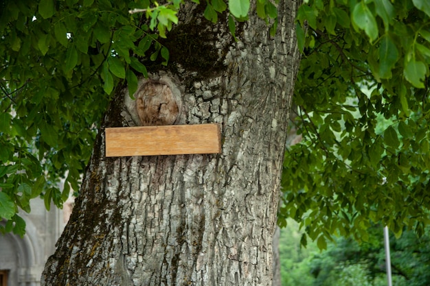 Holzschild am Baum