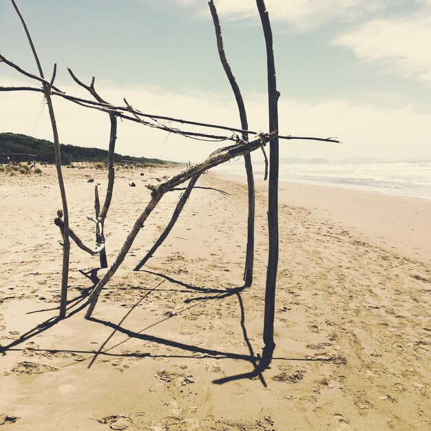 Foto holzstäbe am ufer am strand gegen den himmel