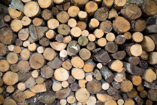 Holzstämme Hintergrund oder Brennholz