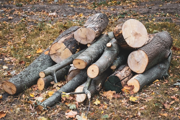 Holzstämme von Wäldern im Park im Herbst, auf einem Stapel gestapelt. Frisch gehackte Baumstämme