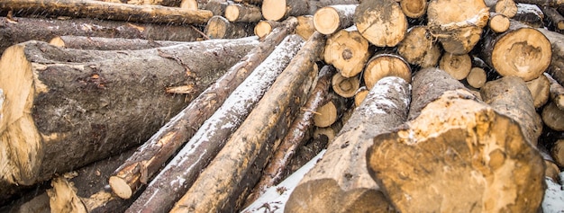 Holzstapel, der eine Wand bildet. Ökologie und Entwaldungsprobleme in der Natur.