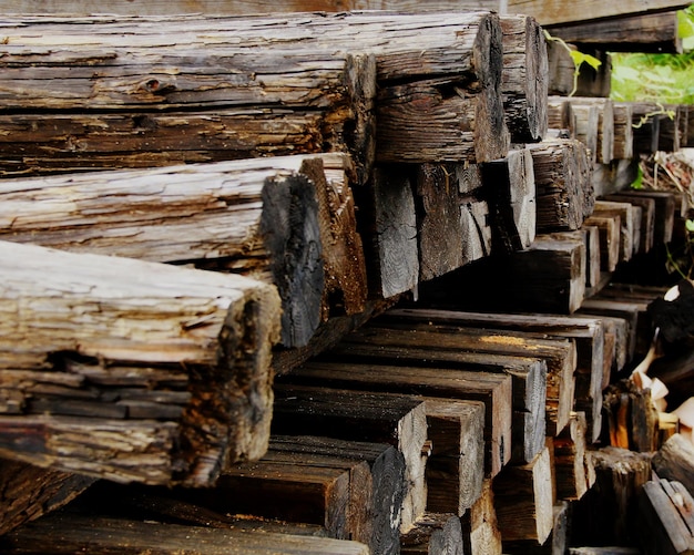 Foto holzstapel im wald