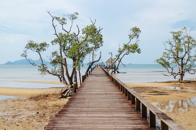 Holzsteg mit Bäumen, die vom Strand zum Meer führen.