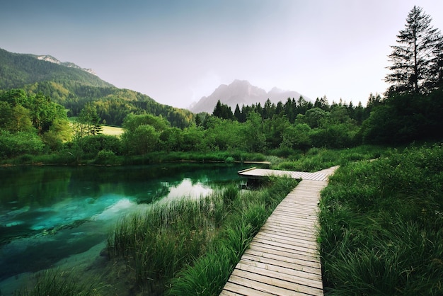 Holzsteg und Natur Sloweniens Europa Naturlandschaft