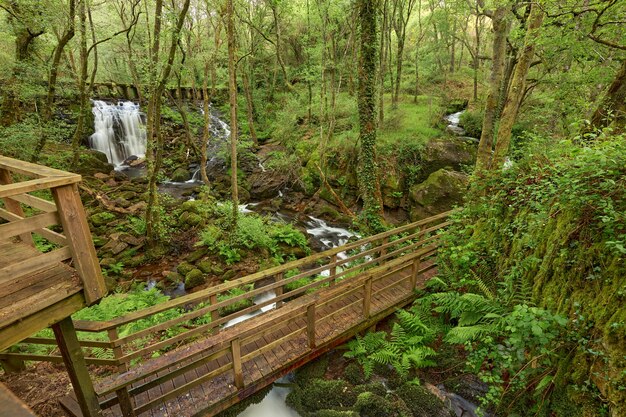 Holzstege am Fluss Arenteiro, in der Region Galicien, Spanien.