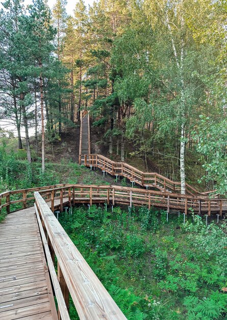 Holzstraße entlang der Wanderroute im Wald in Estland