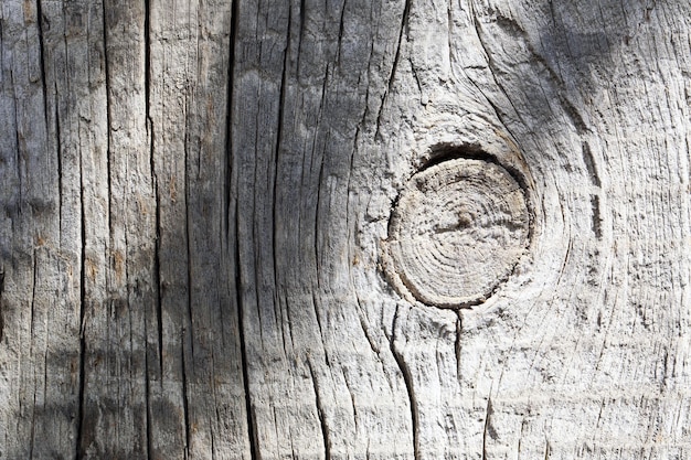 Holzstruktur Hintergrund