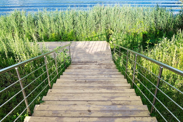 Holzstufen hinunter zum Fluss zwischen Bäumen und Büschen